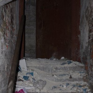 IMG_4478.jpg