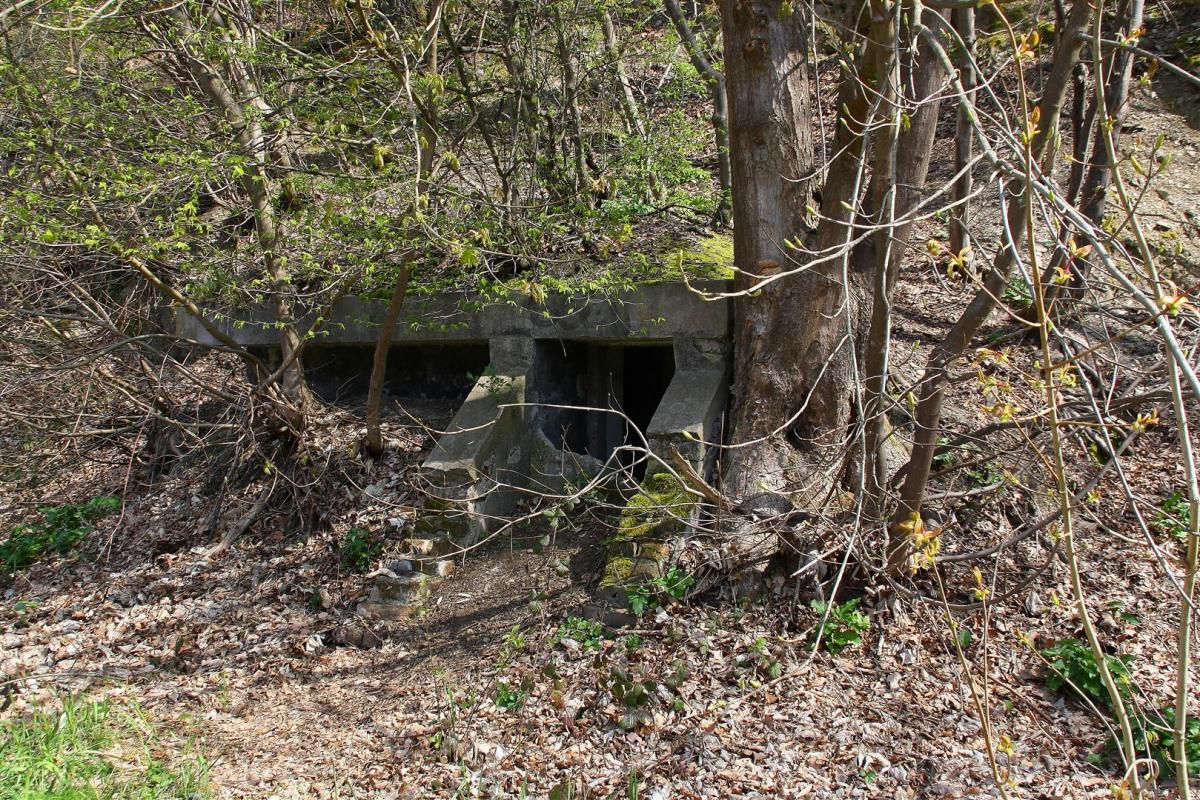 kleiner bunker1 (Large).JPG