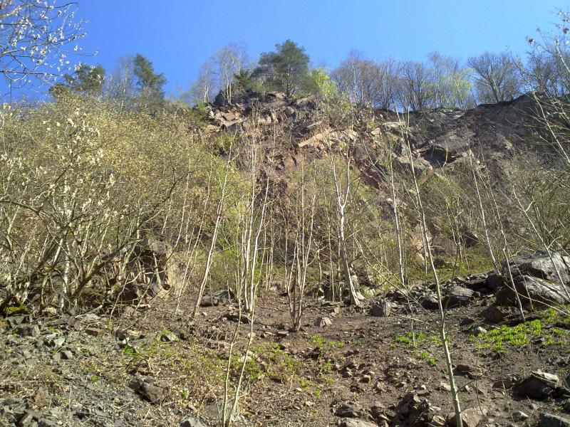 08042011243.jpg