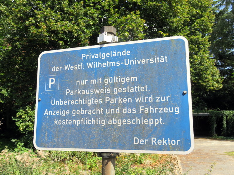 1-349-IMG_5391.JPG