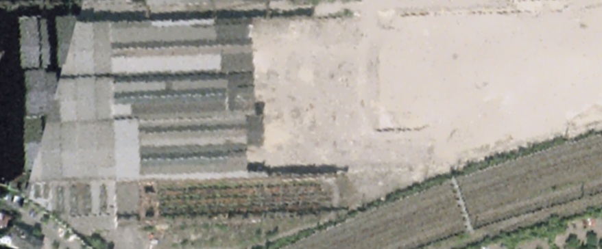 1000046742.jpg