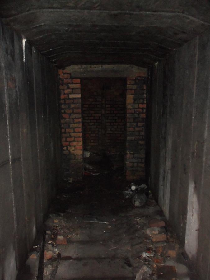 100_1024.JPG