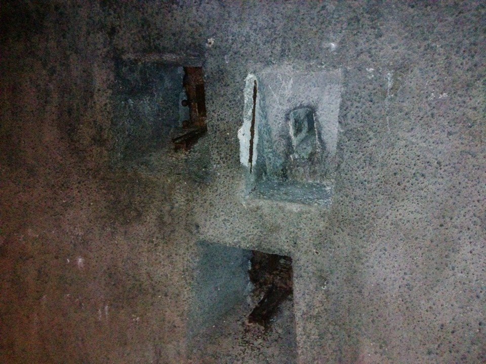 10676285_1518147411763065_788415669279747808_n.jpg