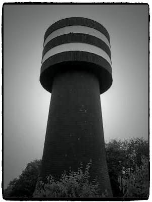 10x_Fotor.jpg