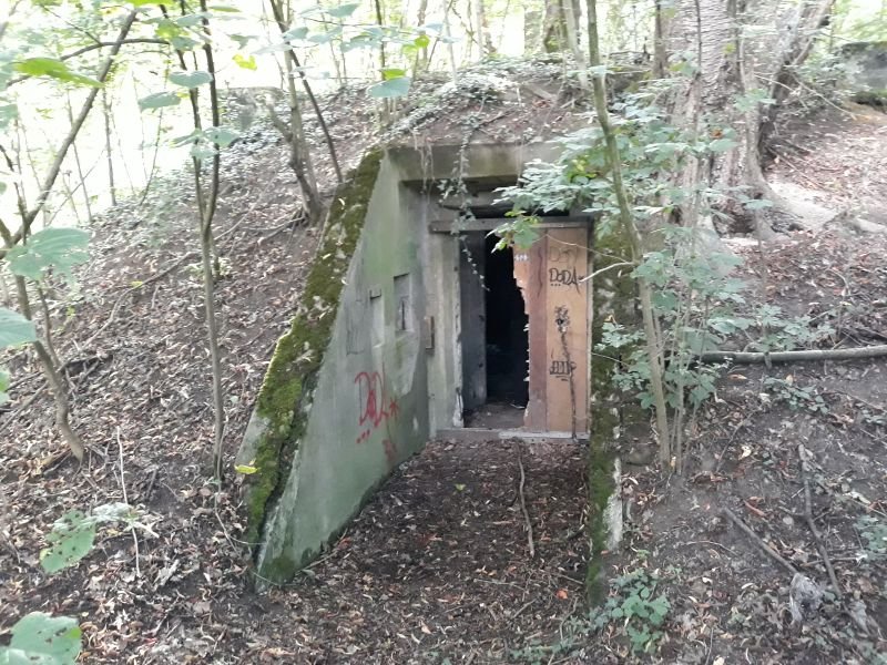 11.jpg