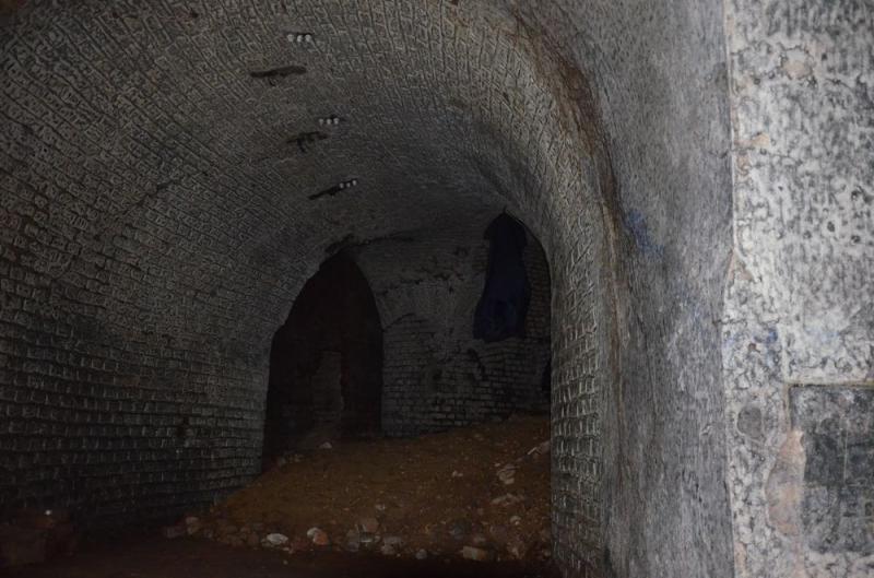 11.JPG