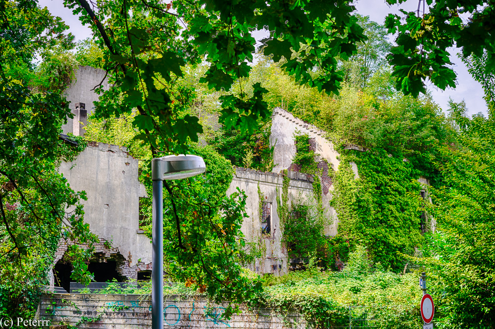 2014-08-31-Brauerei-114.jpg