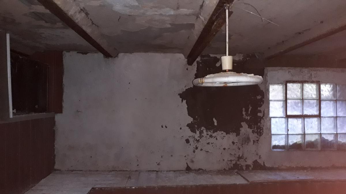 20190501_151209.jpg