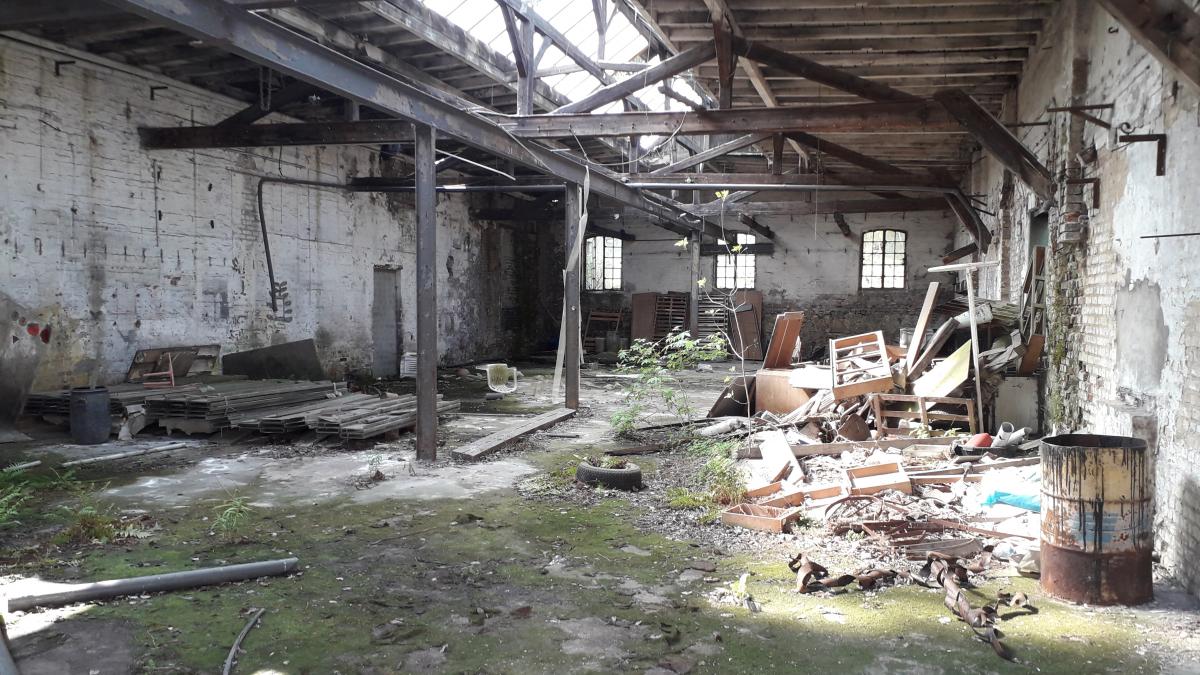 20190501_151818.jpg