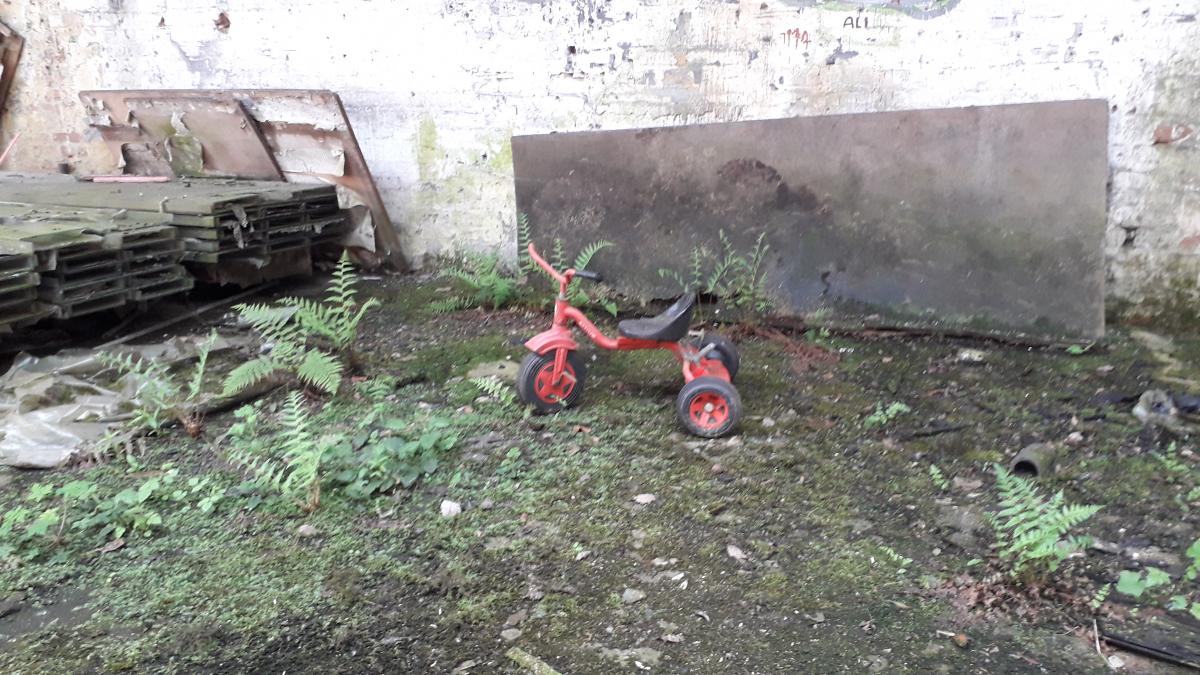 20190501_151906.jpg