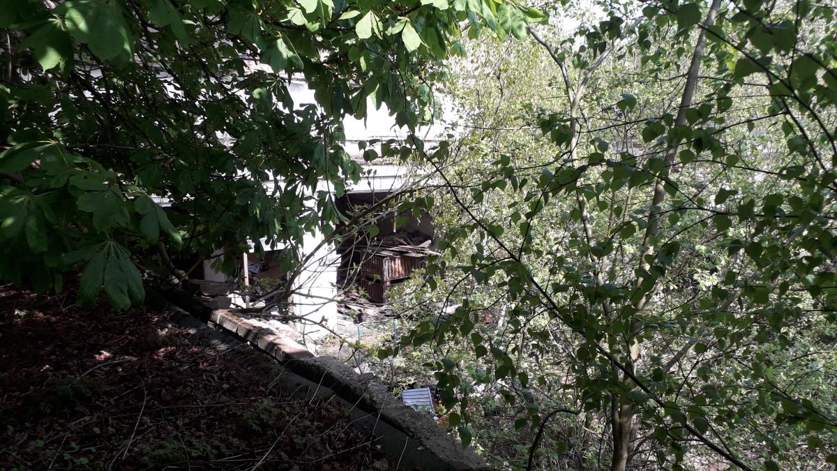 20190501_152228.jpg