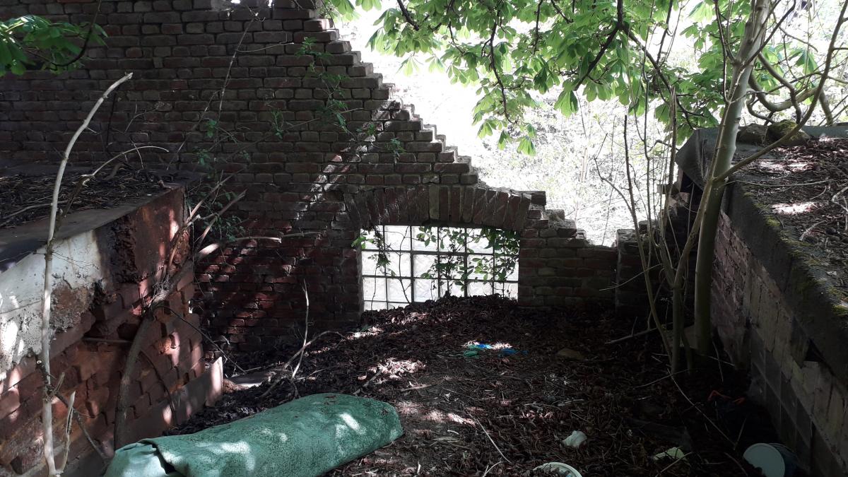 20190501_152352.jpg