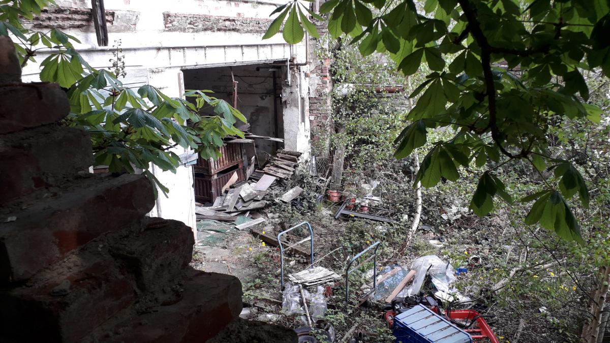 20190501_152411.jpg