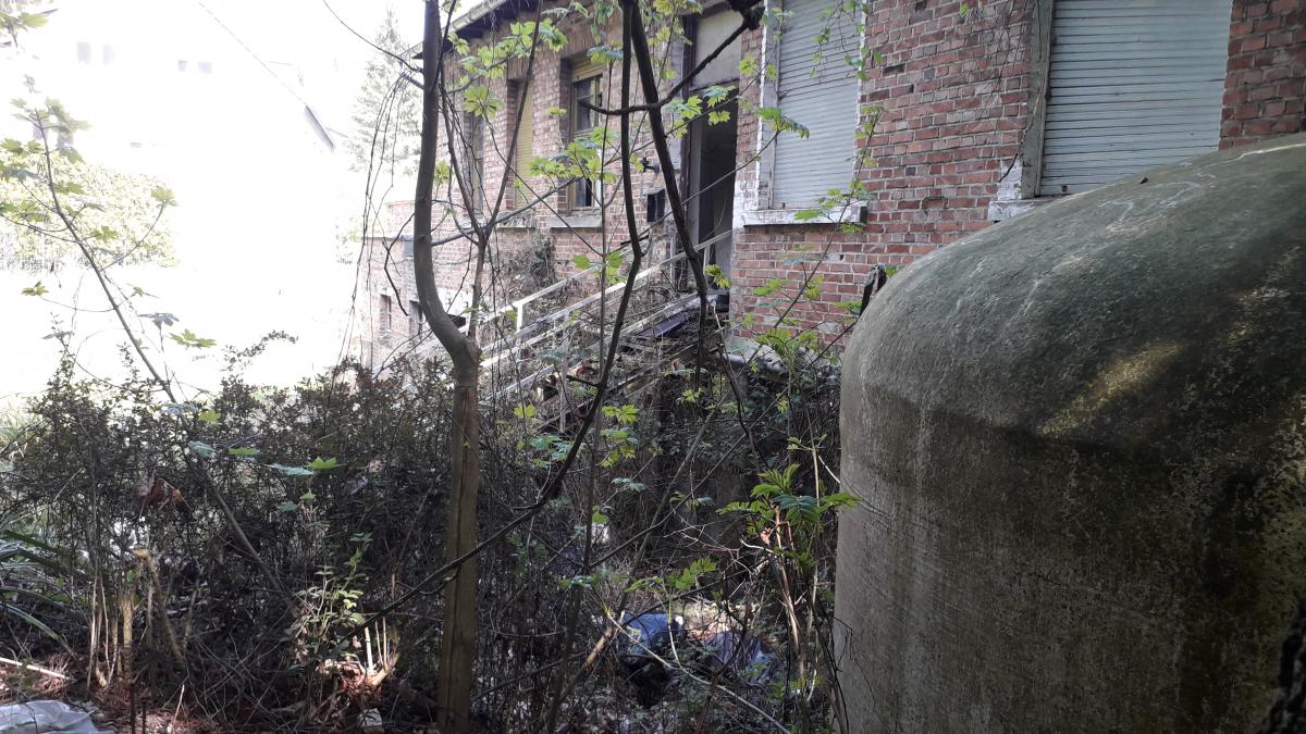 20190501_152514.jpg