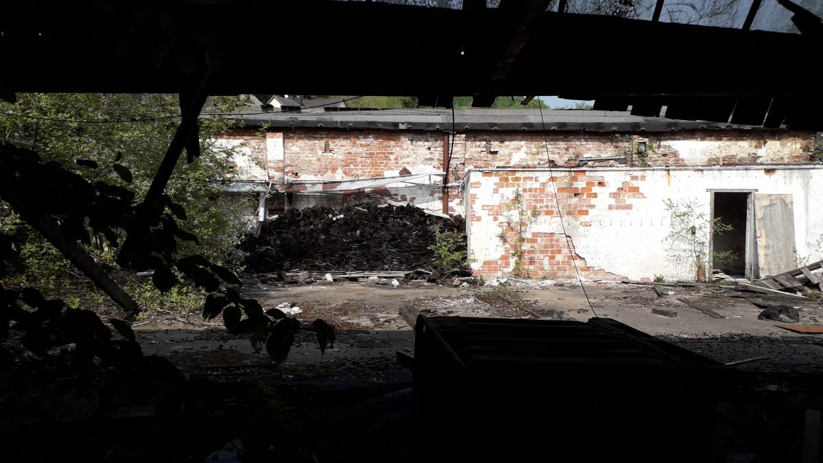20190501_153918.jpg
