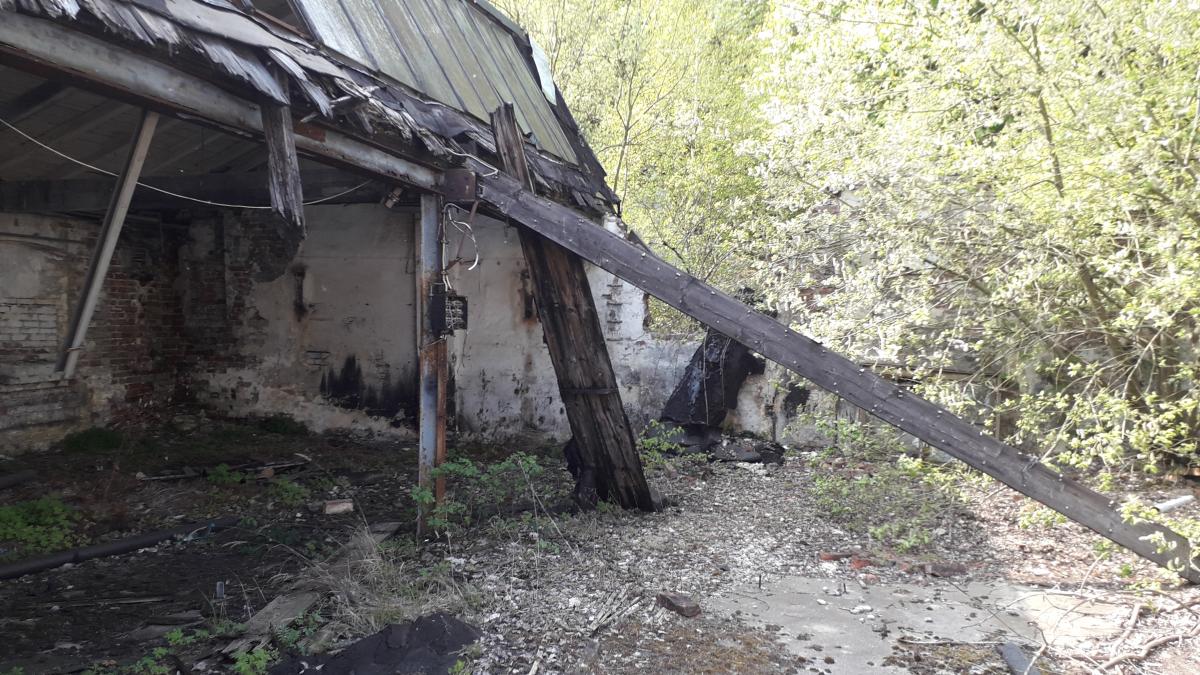 20190501_153940.jpg