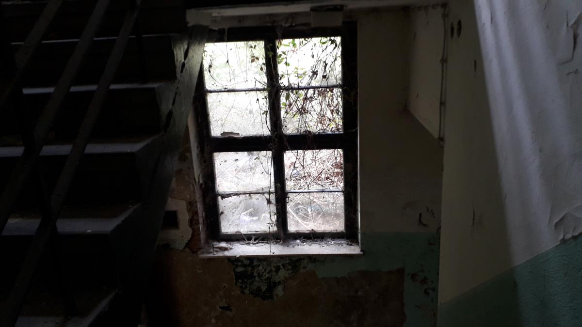 20190501_154653.jpg