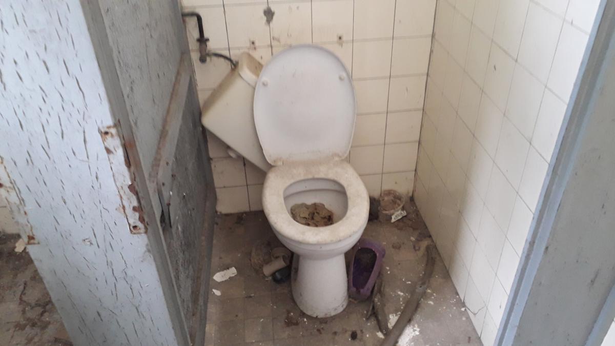 20190501_154753.jpg