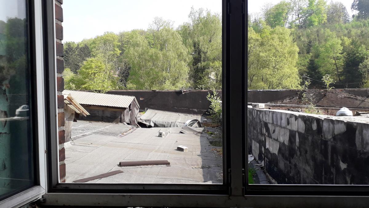 20190501_155003.jpg