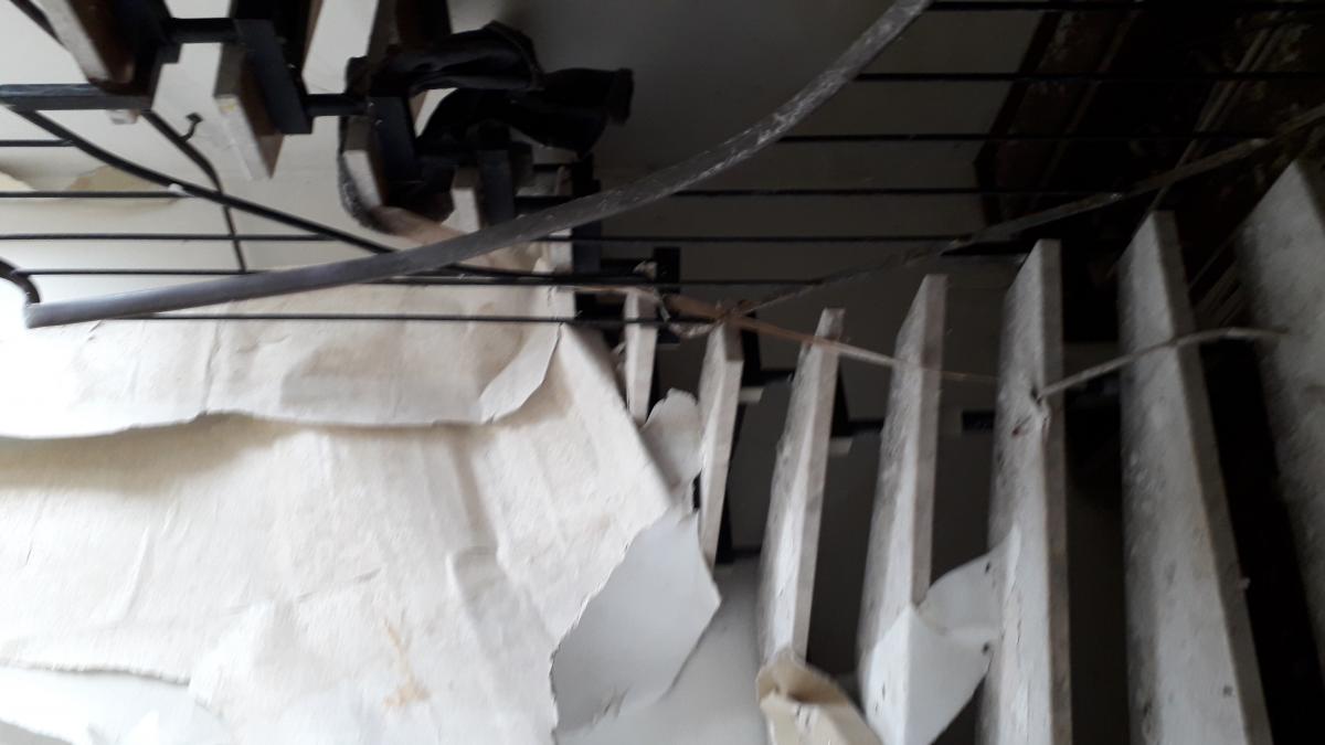 20190505_142801.jpg