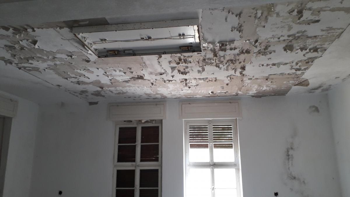 20190505_142950.jpg