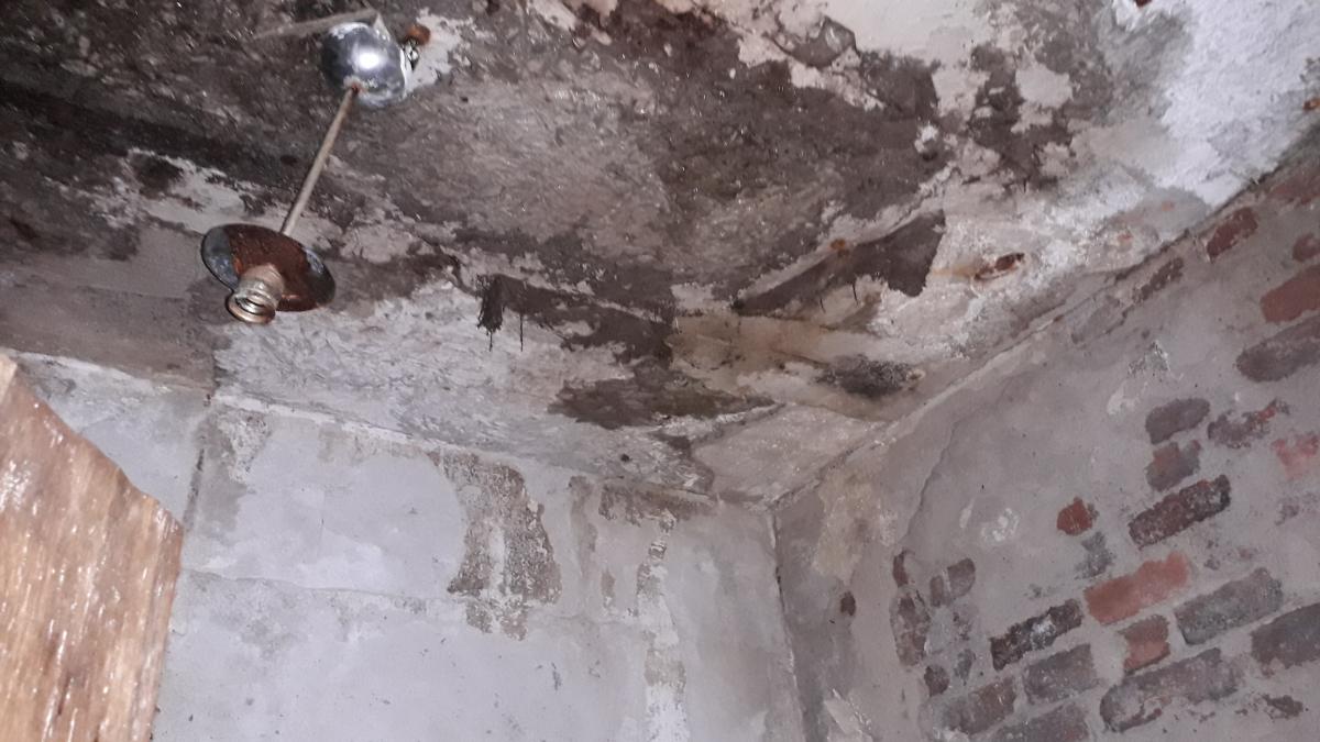 20190505_143139.jpg