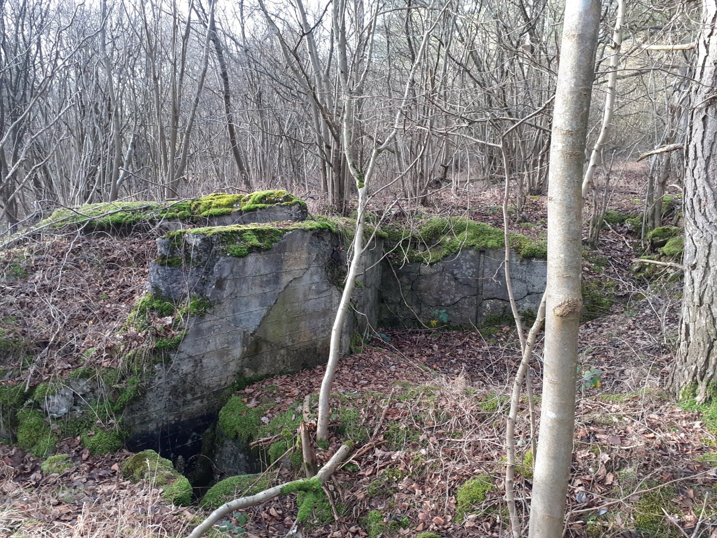 20220101_122441.jpg