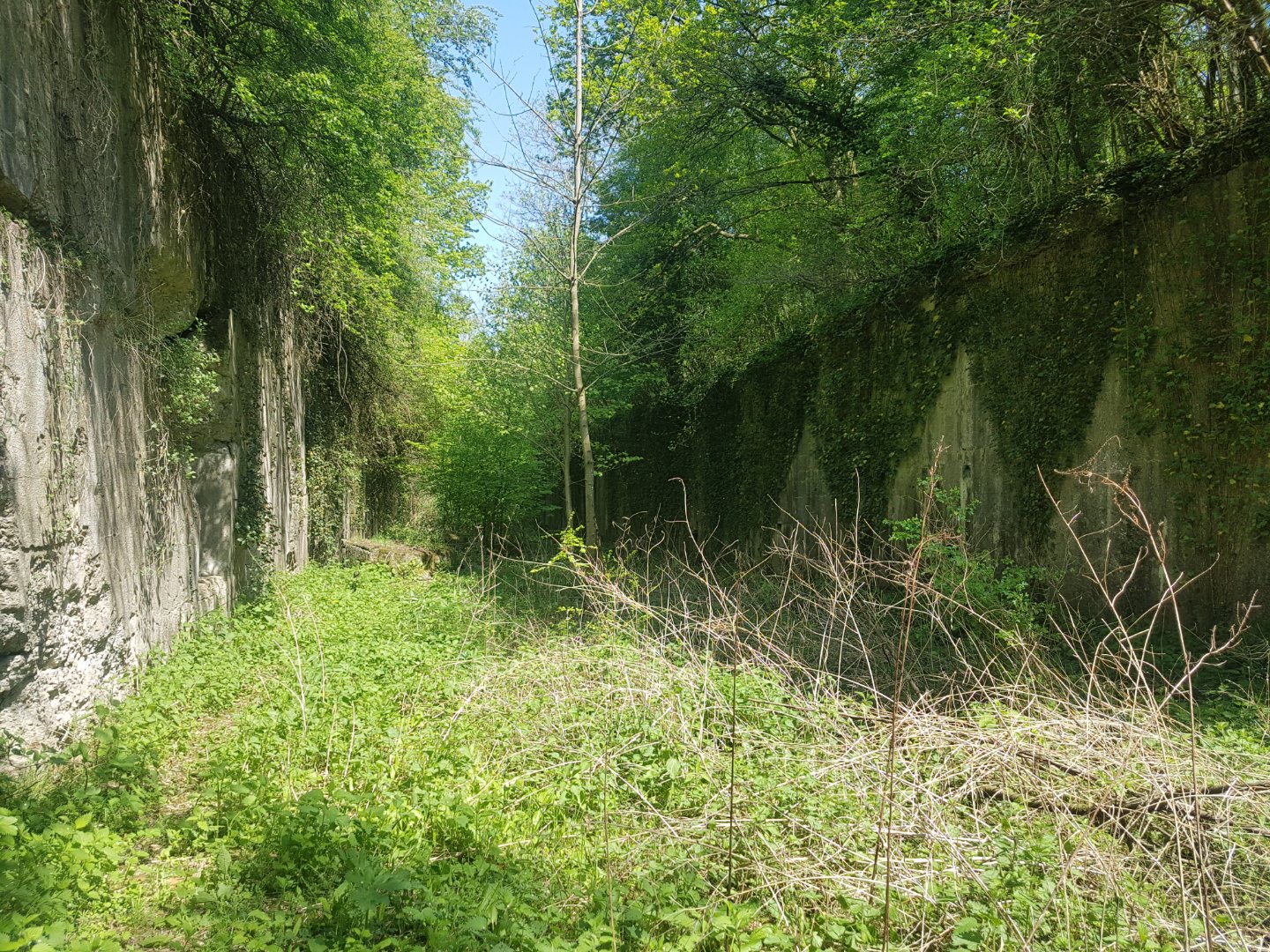 20220424_140602.jpg