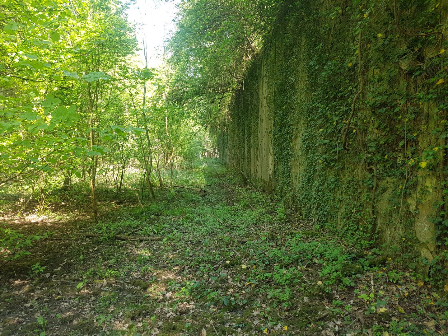 20220424_140717.jpg