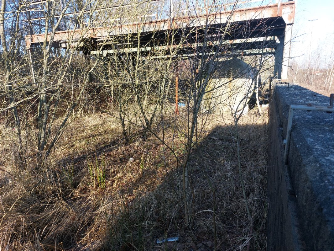20250201_142921.jpg