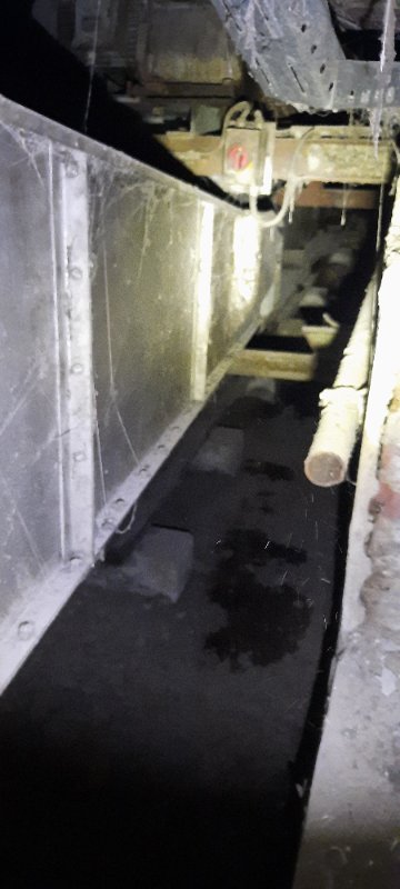 20250329_151220.jpg