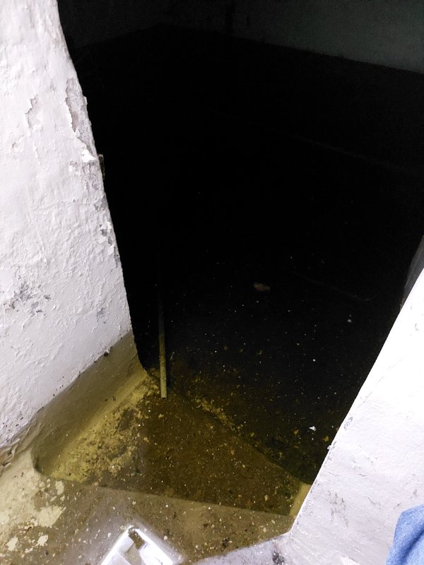 20250414_121406.jpg