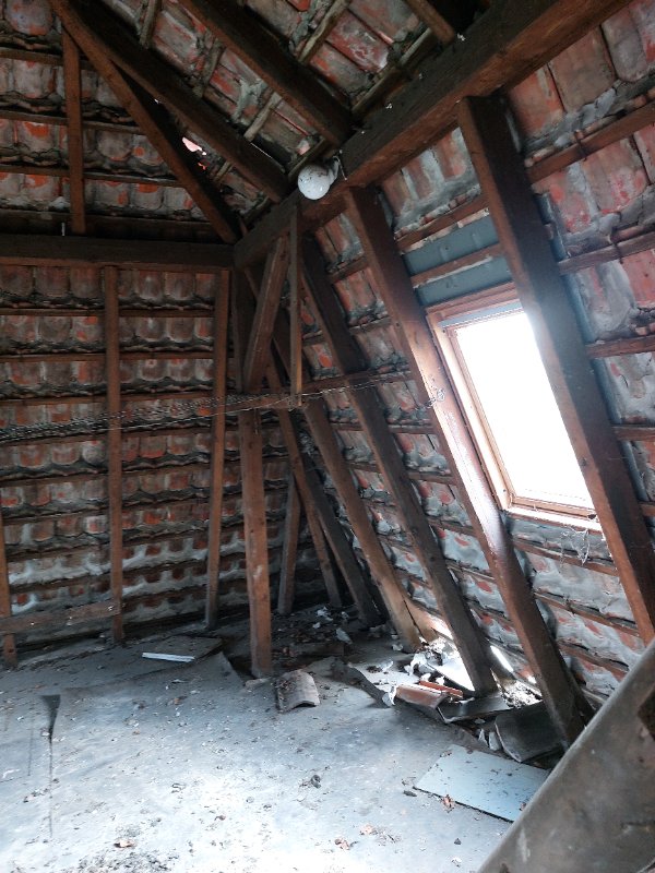 20250414_121728.jpg