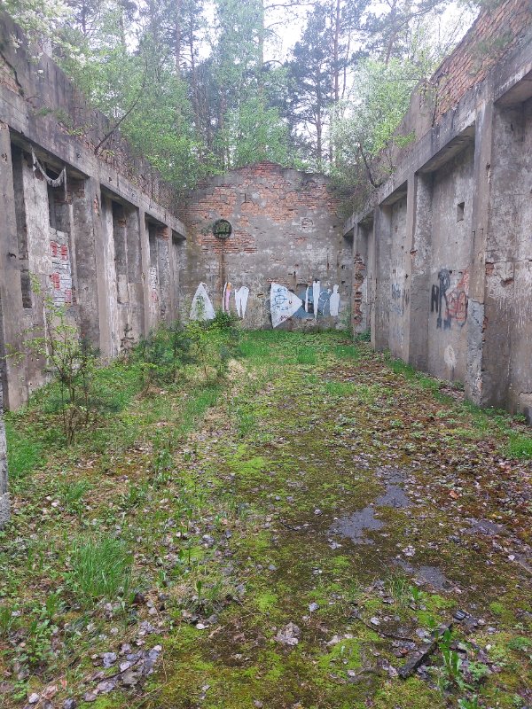 20250424_145328.jpg