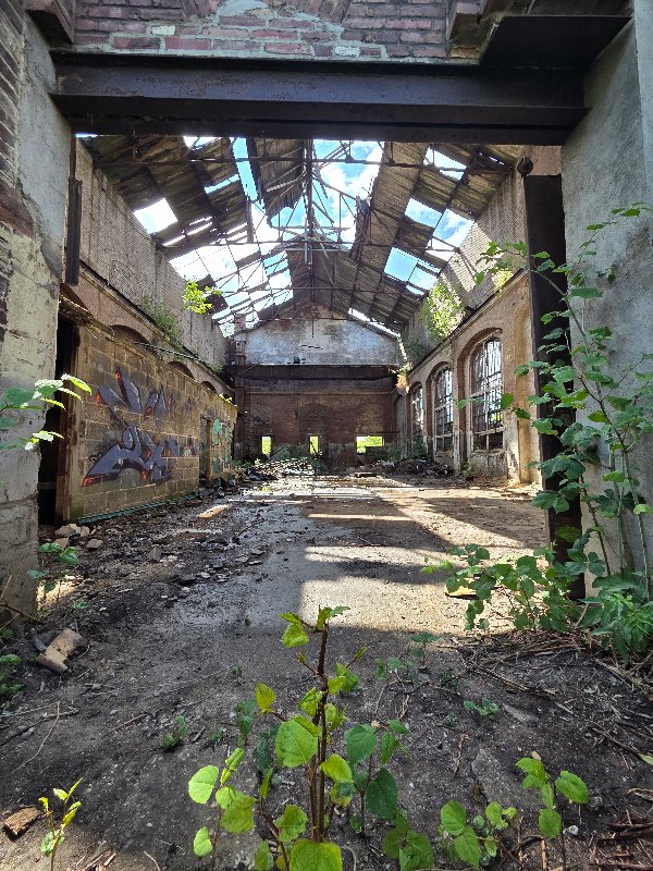20250525_151826.jpg