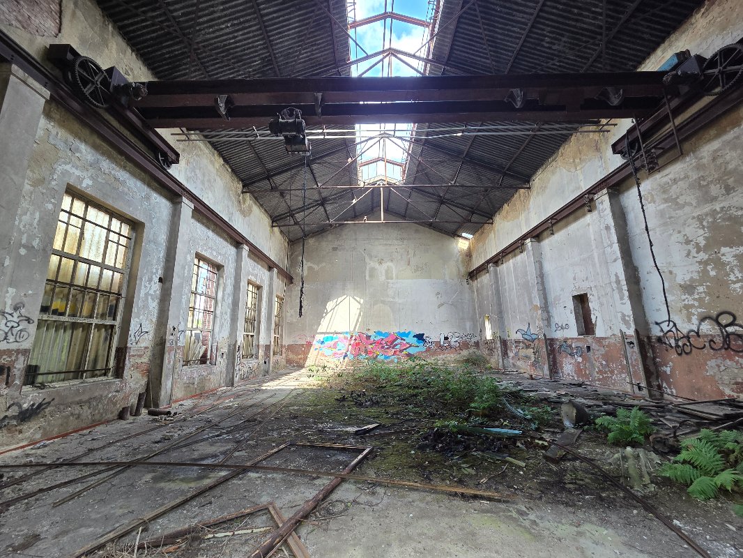 20250525_152243.jpg