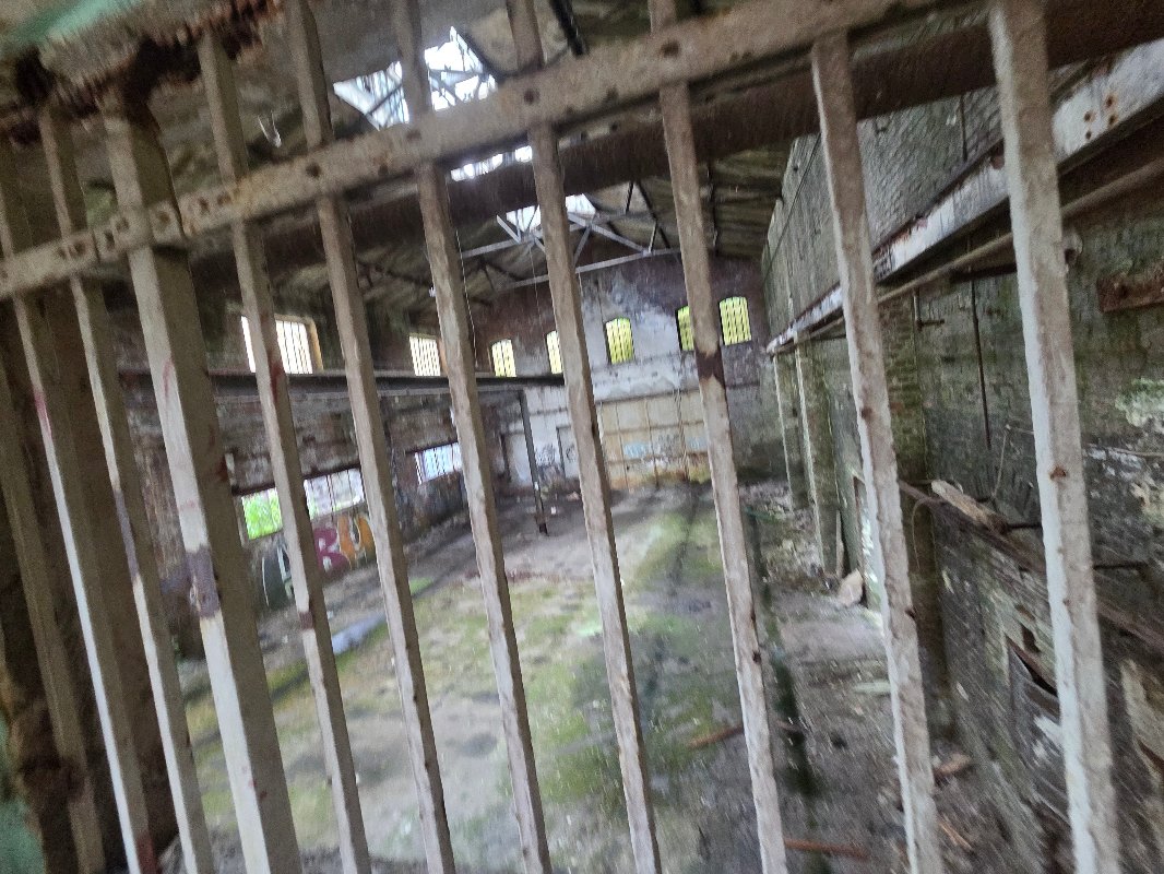 20250525_152707.jpg