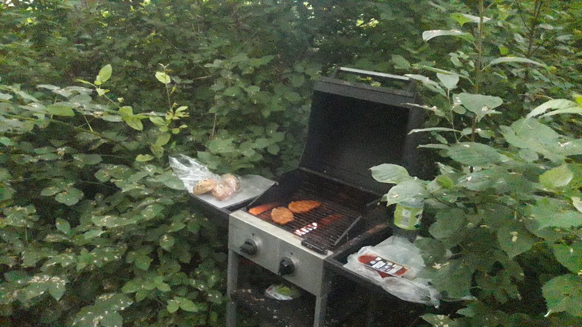 20250606_201443.jpg