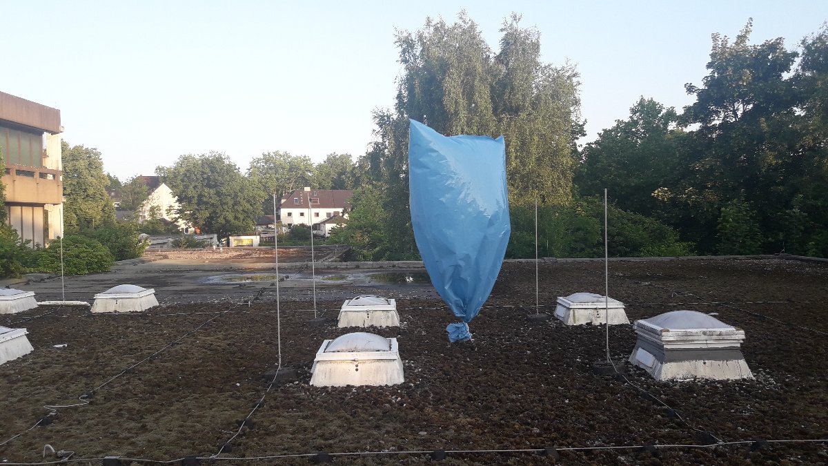 20250611_204830.jpg