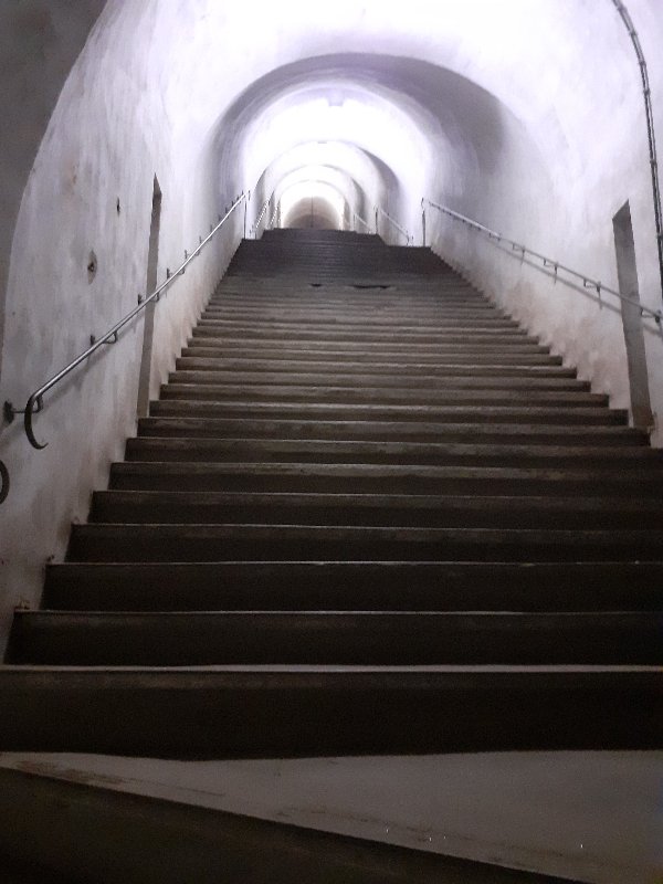 20250629_130307.jpg