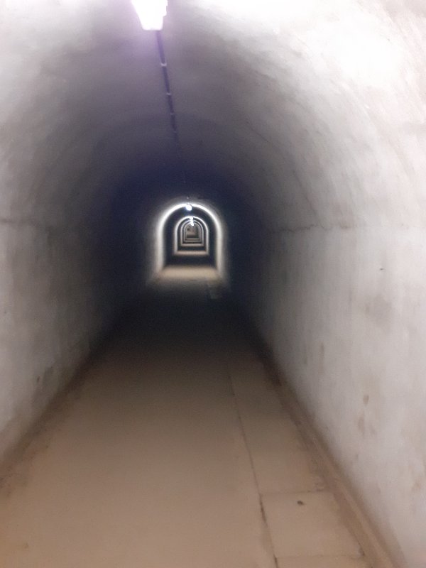 20250629_130456.jpg