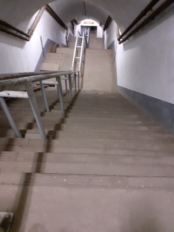 20250629_131854.jpg