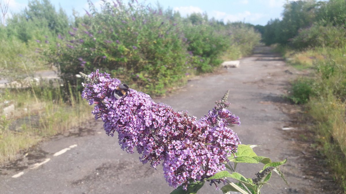 20250713_180323.jpg
