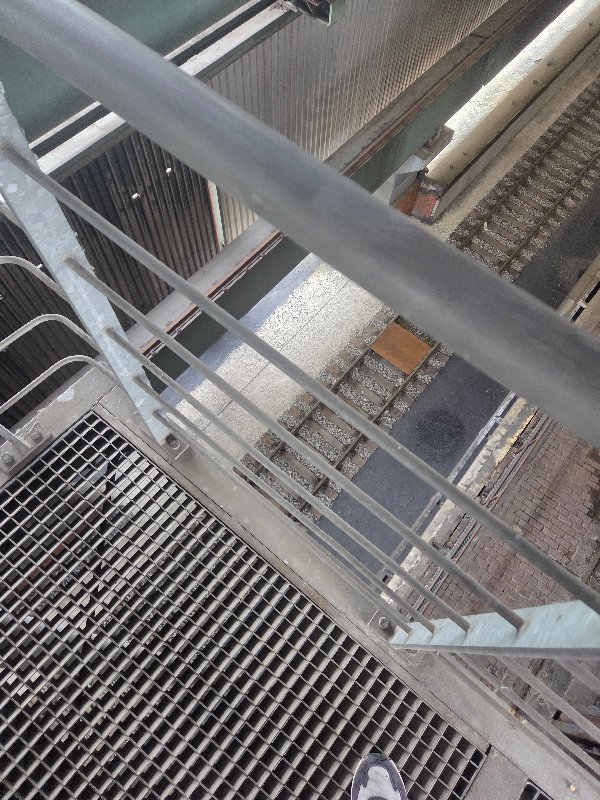 20250717_152214.jpg