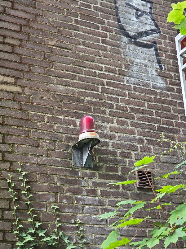 20250729_162405.jpg