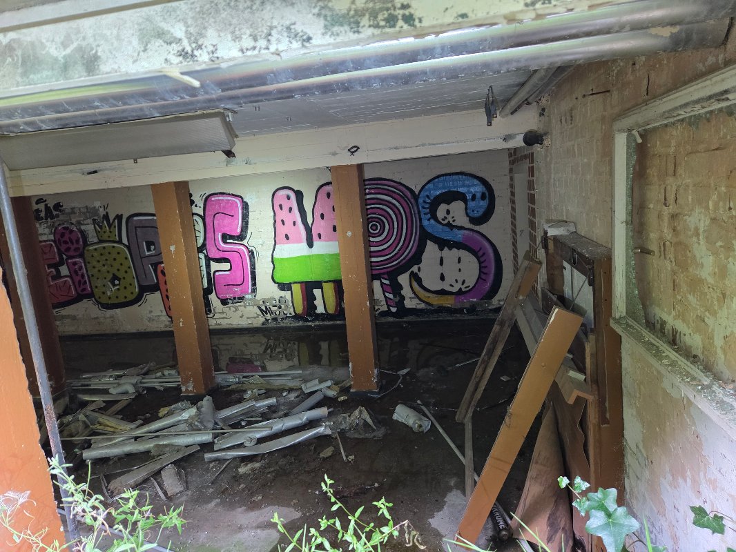 20250729_162442.jpg
