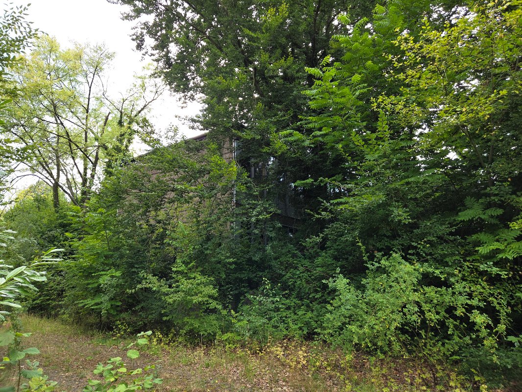 20250729_162718.jpg