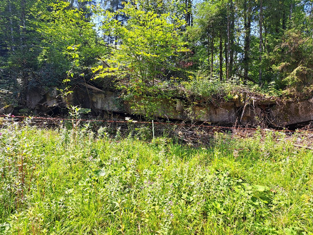20250810_133141.jpg