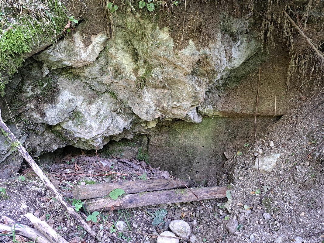 20250810_134442.jpg