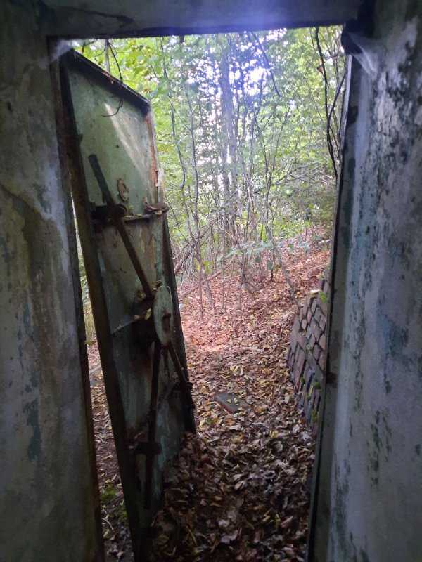 20250826_113909.jpg
